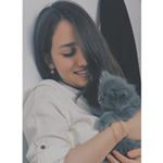 Shadi Khani - Instagram Profile Picture of Shadi Khani (@shadikhanii) on Instagram