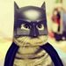 Profile Picture of Matthew Prather (@matthewp3787) on Pinterest