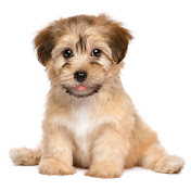 Profile Picture of Phyllis Johnson (@phyllisjohnson7965) on Youtube