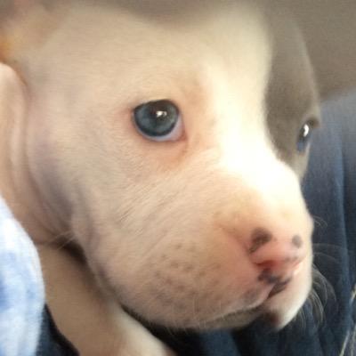 Profile Picture of Taylor Lynn Pourier (@cei_lynn) on Twitter