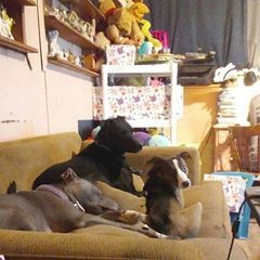 Profile Picture of Cindy Leach (@@cindyleach) on Tiktok