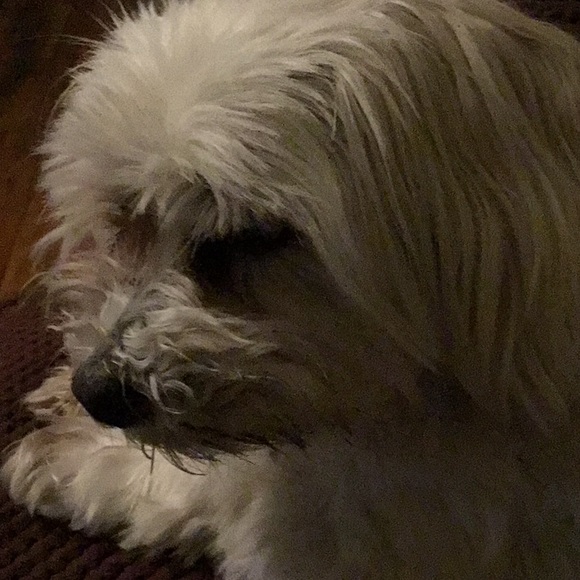 Profile Picture of Sylvia Mcdanel (@grandlee) on Poshmark