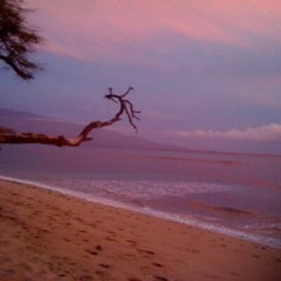 Profile Picture of Vivek Grover (@vivekgrover) on Twitter