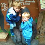 Profile Picture of Mark Lochhead (@marklochhead) on Instagram