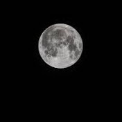 Profile Picture of Cayden Chilson (@caydenchilson) on Youtube