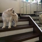 Profile Picture of Андрей (@andrew_lutsk777) on Instagram