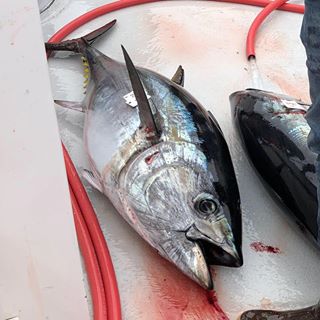 Profile Picture of Herb Freeman (@herb.freeman.581) on Facebook