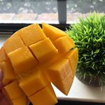 Profile Picture of Healthy plant-based recipes 🍃 (@alwayshungryforhealthy) on Instagram