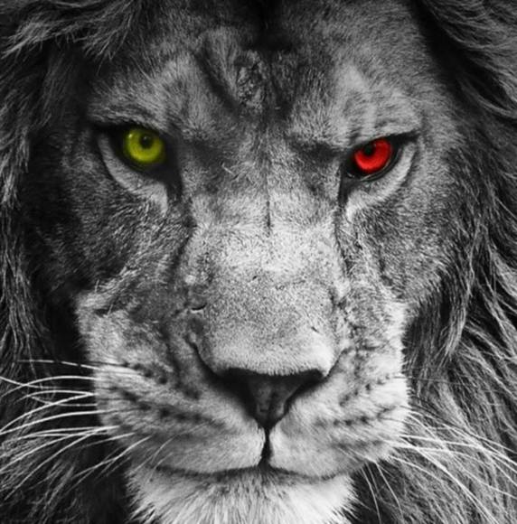 Profile Picture of Matt Sigrist (@mattsigrist1187) on Poshmark