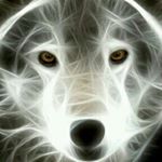 Profile Picture of eric.painter (@eric.painter9564) on Instagram