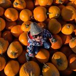 Gerald Rowe - Instagram Profile Picture of Gerald Rowe (@gerald.rowe.96) on Instagram