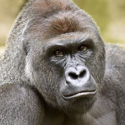 Profile Picture of Chris Gierer (@chrisgierer_218) on Tiktok