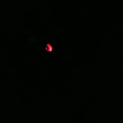 Profile Picture of Kenneth Bates (@kennethbates3167) on Youtube