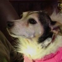 Profile Picture of Joann Scruggs (@joann-scruggs-1) on Quora