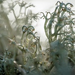 Profile Picture of John Eckhardt (@john eckhardt) on Flickr