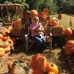 Profile Picture of beverly hughes (@beverlyhughes1959) on Instagram