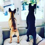 Profile Picture of HARVEY & HAILEY (@harveyandhailey) on Instagram