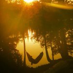 Profile Picture of Jason Rabbitt (@ra88itt) on Instagram