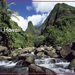 Profile Picture of RandyMartin (@randyymartin808) on Instagram