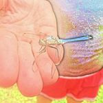 Profile Picture of Jerri Greene (@jerri.greene.7) on Instagram