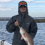 Profile Picture of Robert (@robert.neall) on Instagram