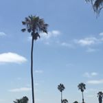 Profile Picture of iamnotbrianchenoweth (@iamnotbrianchenoweth) on Instagram