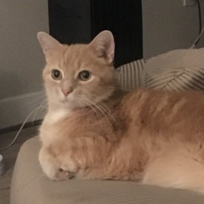 Profile Picture of Sam Webb (@SamWebbExists) on Twitter
