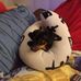 Profile Picture of Daniel Ballen (@daniel.ballen.739) on Facebook
