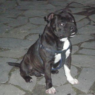 Profile Picture of Oscar Steele (@oscar.steele.35) on Facebook