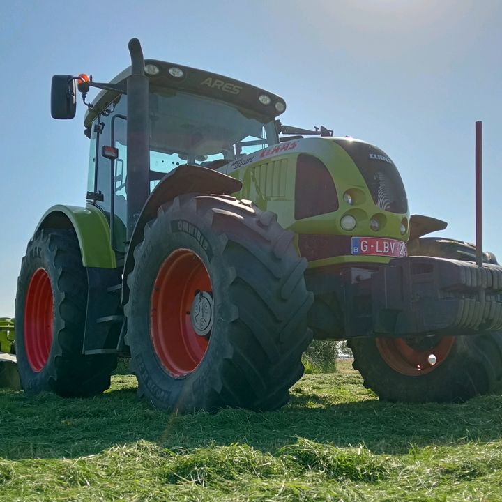 Profile Picture of Thomas Demaegdt (@thomasdemaegdt661) on Tiktok