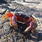 Profile Picture of Derek Cutler (@arcticexcalibur) on Instagram