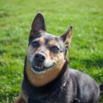 Profile Picture of Todd Webb (@todd.webb.31) on Instagram