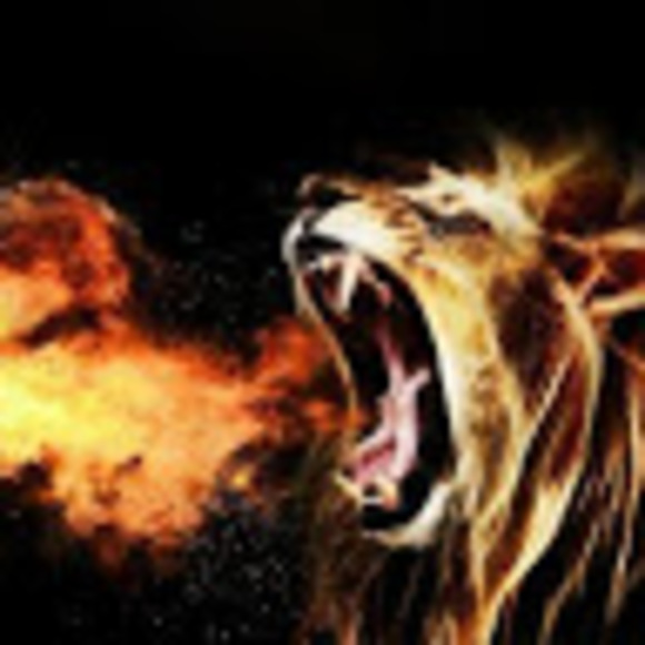 Profile Picture of Mason Maderazo (@7sunnydays4320) on Poshmark