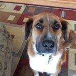 Profile Picture of Sharon Funk (@sharon_funk33625) on Instagram