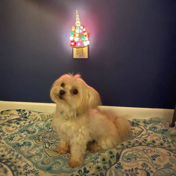 Profile Picture of Cheree Hensley (@cbroscious) on Poshmark