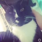 Profile Picture of Matthew Krepka (@matthew.krepka) on Facebook