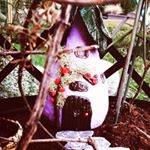 Profile Picture of Jo Cheek (@the.cheeky.fairy) on Instagram