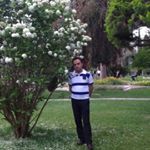 Profile Picture of david amini (@davidami5282) on Instagram