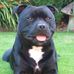 Profile Picture of Stephen Trowbridge (@stephen.trowbridge.142) on Facebook