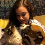 Patrick😽 & Peaches🐶! - Instagram Profile Picture of Patrick😽 & Peaches🐶! (@patrick.peaches) on Instagram