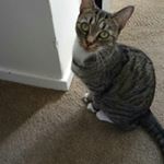 Profile Picture of diane thatcher (@thatcher.diane) on Instagram