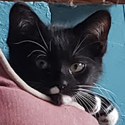 Profile Picture of Jamie Hahn (@jamiehahn-zq2hi) on Youtube