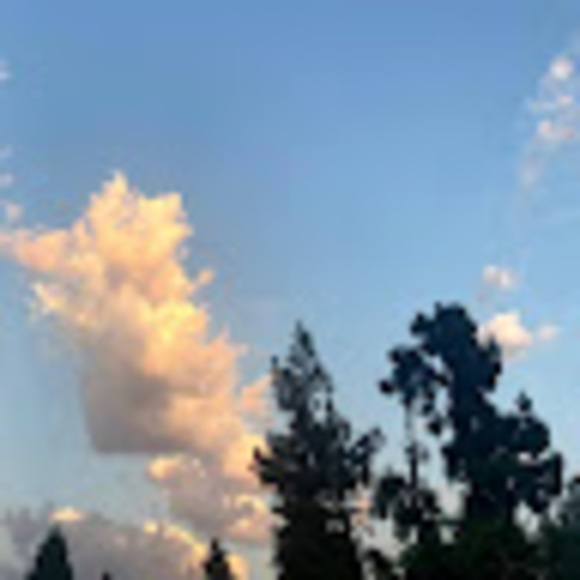 Profile Picture of Nikki Key (@nikkikey16) on Poshmark