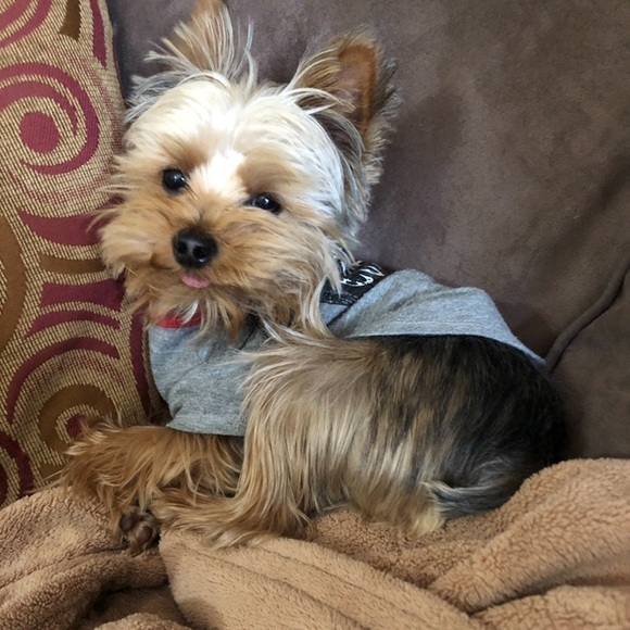 Profile Picture of Haley Hardy (@hjanehardy) on Poshmark