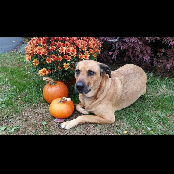 Profile Picture of John Heller (@jhelleriv) on Poshmark