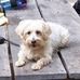 Profile Picture of Sunny Charpentier (@sunny.charpentier) on Facebook