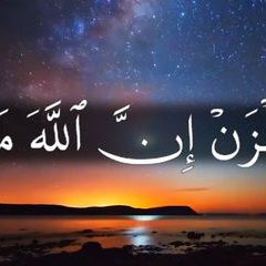 Profile Picture of حمزة نوفل276@ (@dycsutvodg7d) on Tiktok