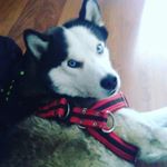 Profile Picture of Jaime (@jaime_cordero_) on Instagram