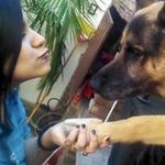 Profile Picture of Bren Cuffaro (@brencuffaro) on Instagram