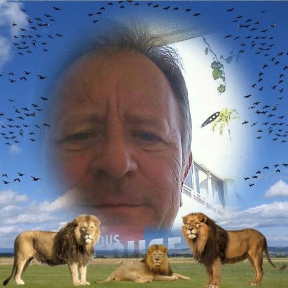 Profile Picture of Daniel Siracusa (@danielsiracusa) on Poshmark